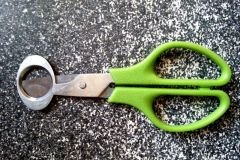 scissors