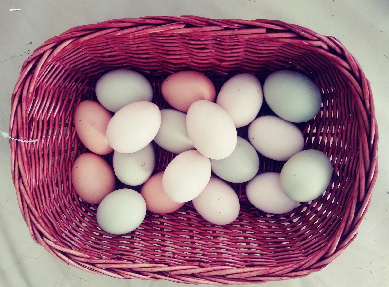 Chicken Hatching Eggs Image